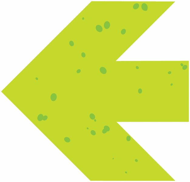 Nite-Glo Arrows - Pk of 6